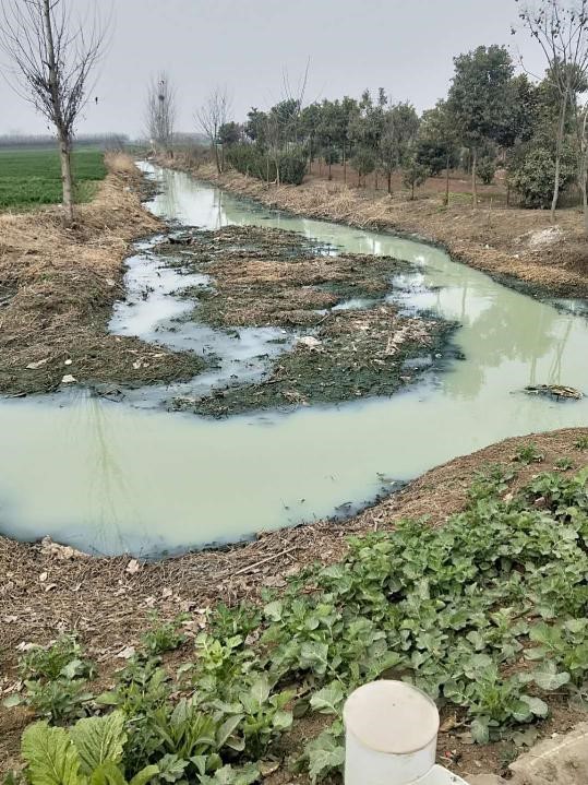 河道及黑臭水体治理