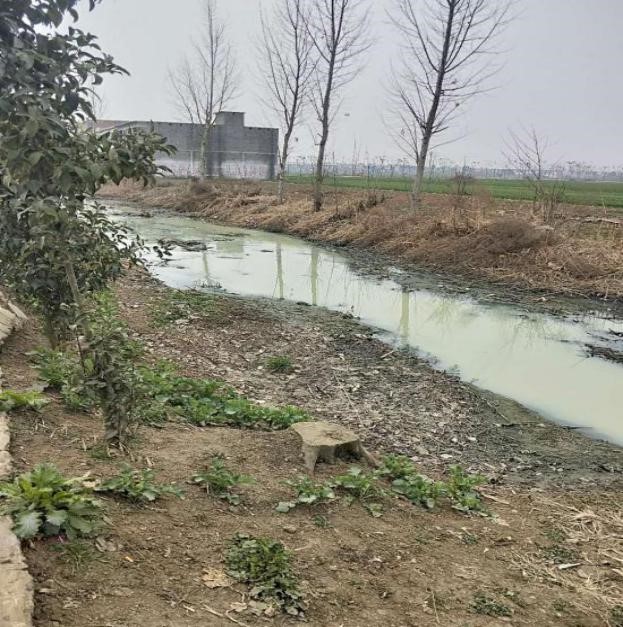 河道及黑臭水体治理