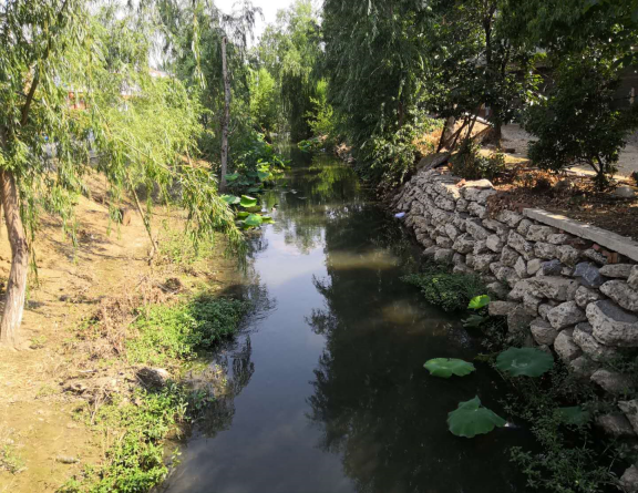 河道及黑臭水体治理
