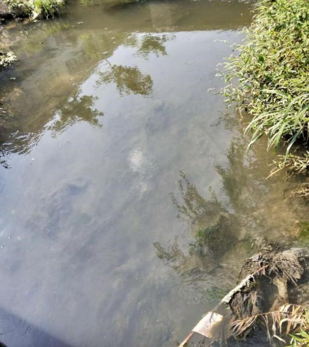 河道及黑臭水体治理