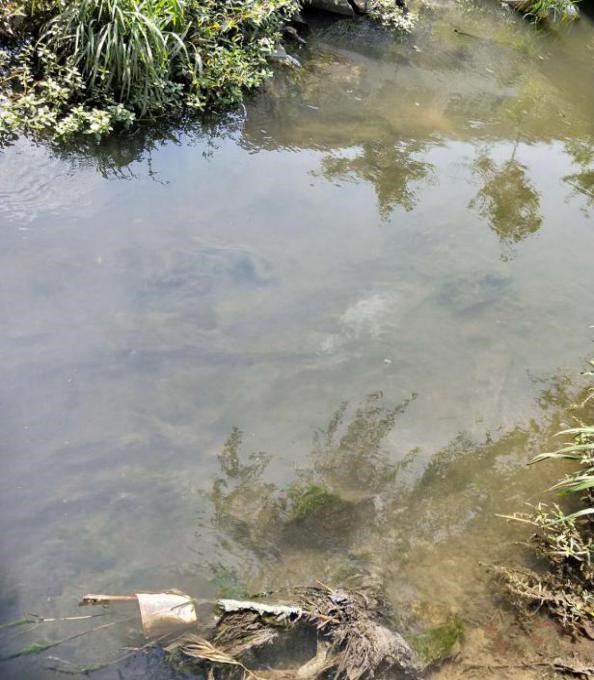 河道及黑臭水体治理