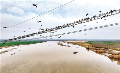 向绿而行 风华“郑”茂